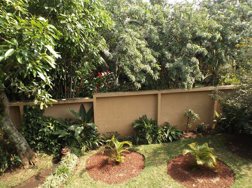 Hotel Casa Tropical à San Joaquín Extérieur photo